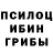 Галлюциногенные грибы мицелий cloe roger