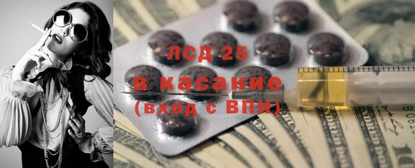 стафф Бородино