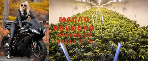 стафф Бородино