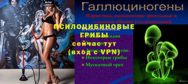индика Бугульма
