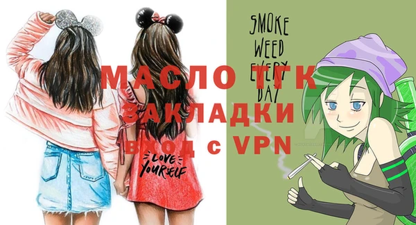 индика Бугульма