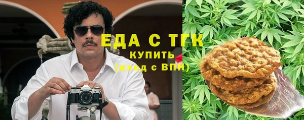 индика Бугульма