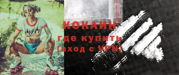 стафф Бородино