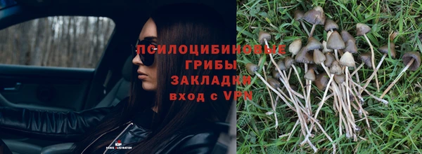 прущая мука Семёнов