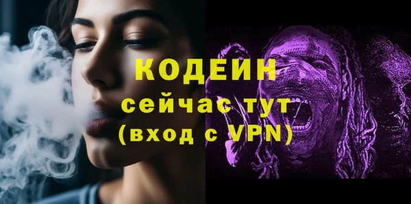индика Бугульма