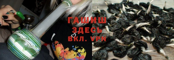 стафф Бородино